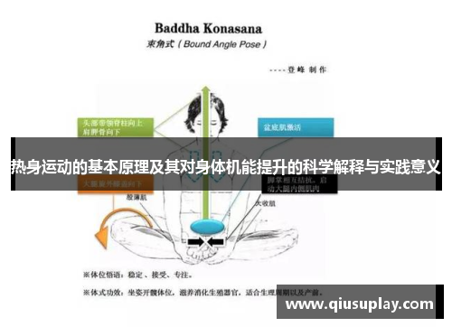 热身运动的基本原理及其对身体机能提升的科学解释与实践意义